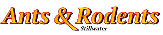 Stillwater Ant Exterminator & Rodent Control Company Logo